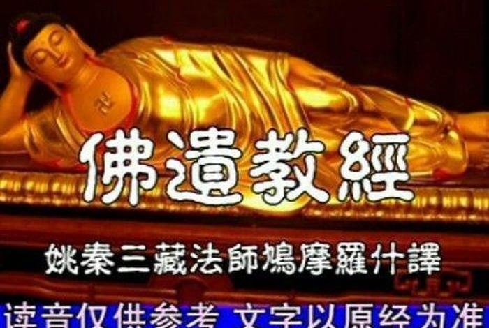 佛教知识免费下载大全软件手机版 - 佛教知识视频讲解