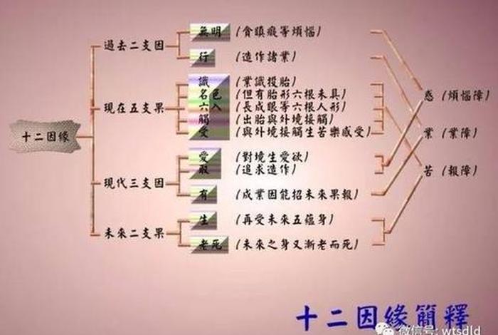 佛说十二因缘详解（佛说十二因缘佛性经）