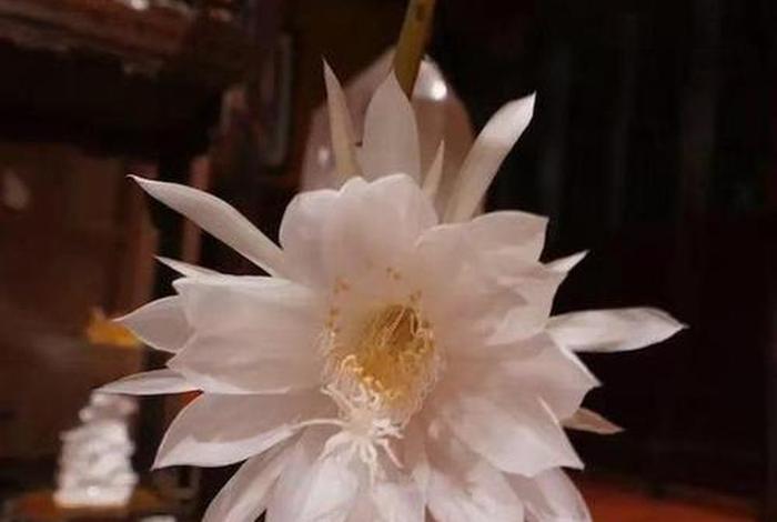 明证法师佛法初识；明证法师讲实修视频