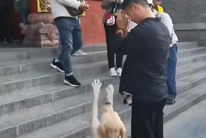 狗在佛教中的地位 - 狗在佛教中的化身