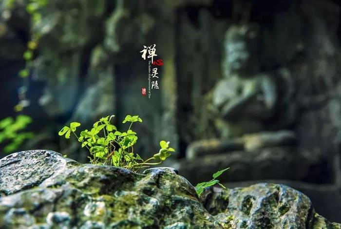 善知识的十种德相，善知识的十个标准