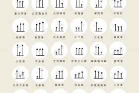 佛教香谱大全图解法（佛教香谱大全图解法视频）
