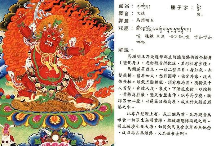 密宗入门知识（密宗入门知识大全）