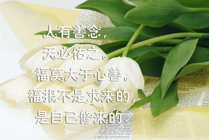 佛学经典词汇，佛学经典词汇有哪些