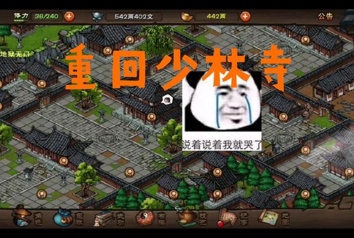烟雨江湖非少林佛法300 烟雨江湖非少林佛法到300