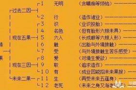 十二因缘的意义、十二因缘的含义