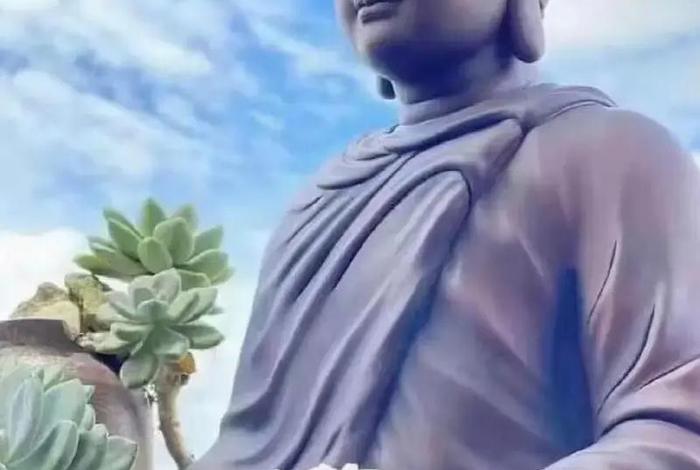 佛说睡眠最好的方法；佛教对睡眠的开示