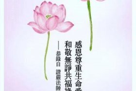 佛教感恩语录图片大全，佛教经典感恩语