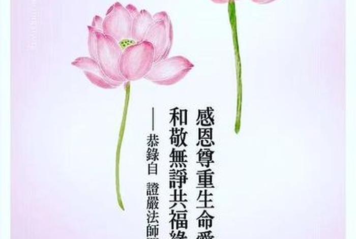 佛教感恩语录图片大全，佛教经典感恩语