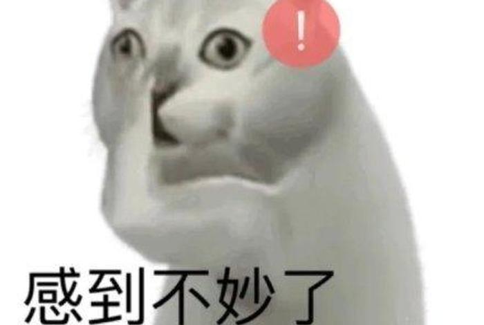 奇怪的知识增加了、奇怪的知识增加了表情包背景