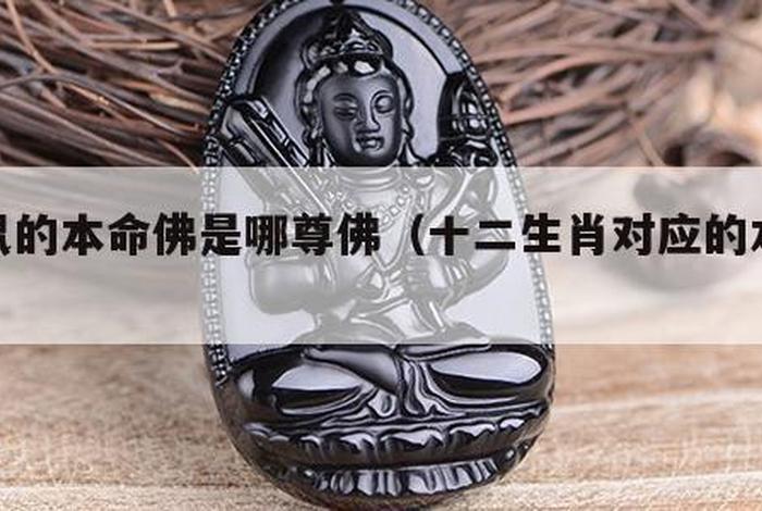 秒懂百科什么是佛；什么叫佛嫒