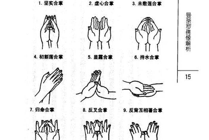 佛教有什么招式（佛教的招式）