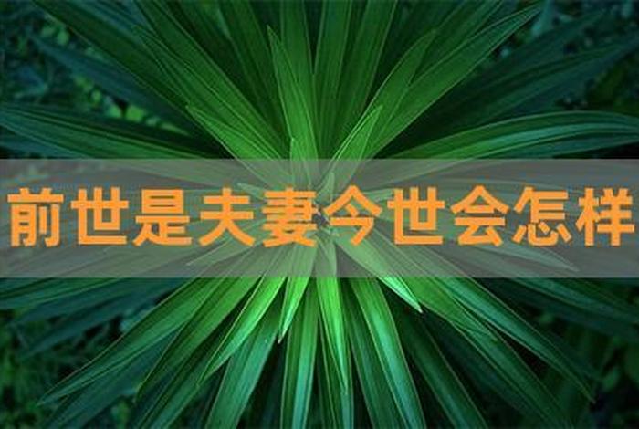 佛说相亲老失败 相亲老是失败是缘分没到吗