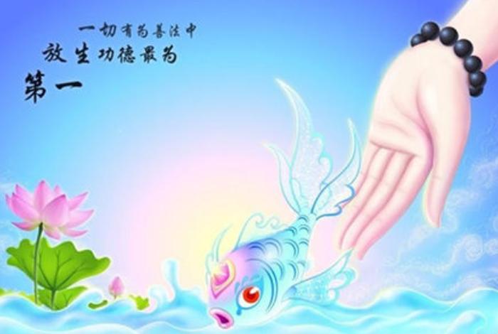 佛教放生的经典句子，佛教放生的意义是什么