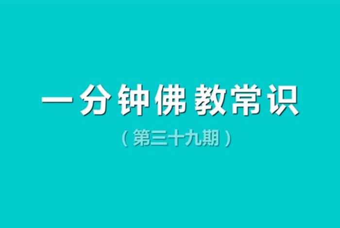 佛教常识大全视频（一分钟佛教常识全集）