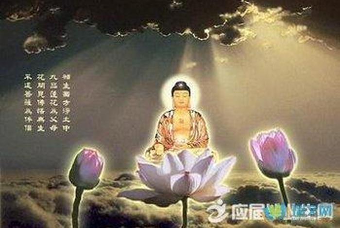乐山大佛佛语、乐山大佛经典禅语