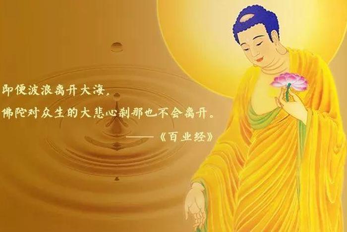 专业佛修 佛教修业