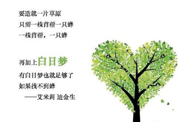 慈悲的心愿（慈悲心愿菜根香）