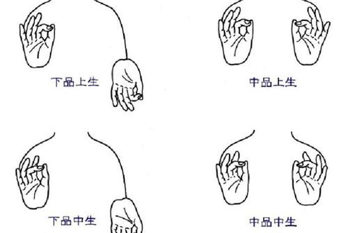 佛的三法印通俗解释，佛的三法印是什么