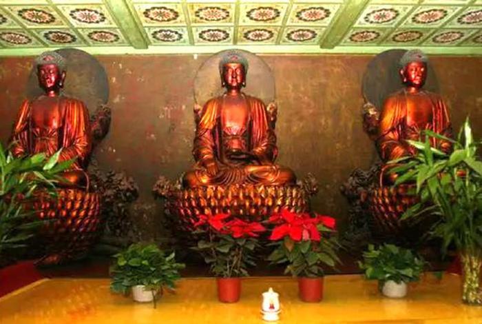 寺庙佛教小知识大全视频下载（寺庙佛教小知识大全视频下载软件）