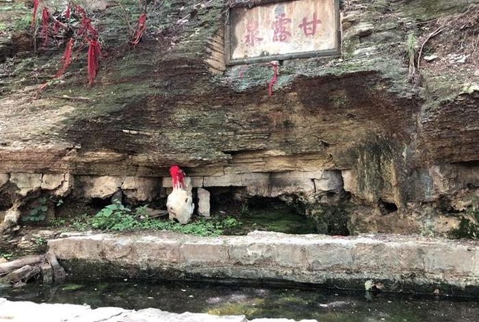 佛教中的甘露泉（佛教甘露水是什么）