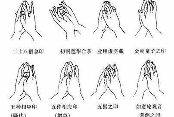 一分钟学会佛教手印 - 一分钟学会佛教手印教程
