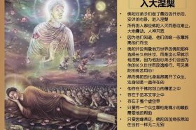 初中历史释迦牟尼，初中历史佛教