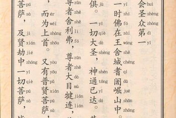 佛学无量寿经全文讲解、佛学讲无量寿经视频