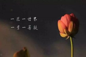 佛法中的出离心是什么意思，佛教的出离心是什么