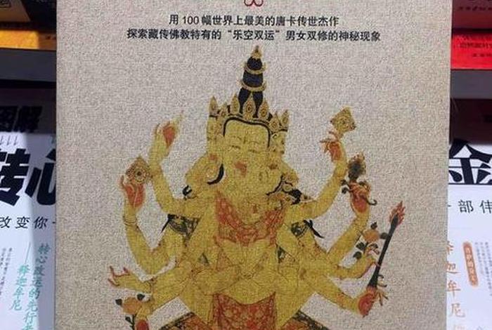 藏传佛教故事书籍（藏传佛教故事集）