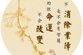佛法与人生智慧大全集，佛法与人生智慧大全集电子版