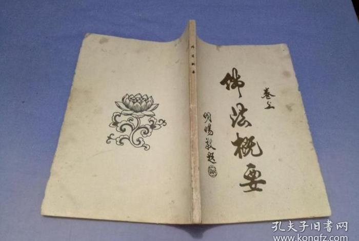 净界法师佛法概要视频 净界法师讲佛法概要视频