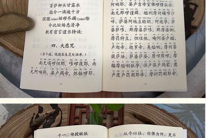 佛教放生仪轨全文，放生仪轨佛学院