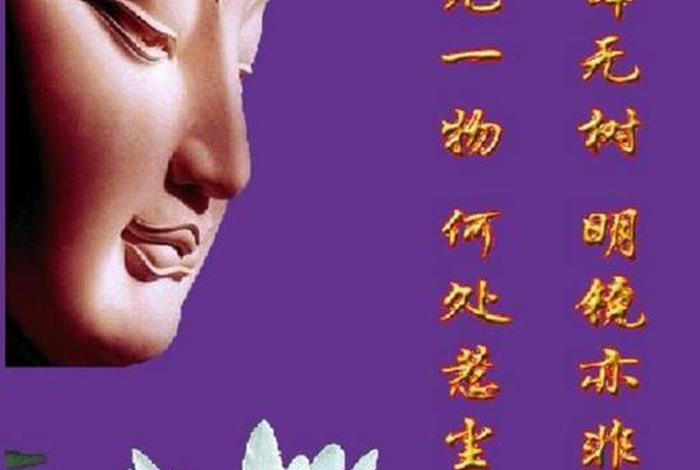 佛家慈悲 - 佛家慈悲经典句子