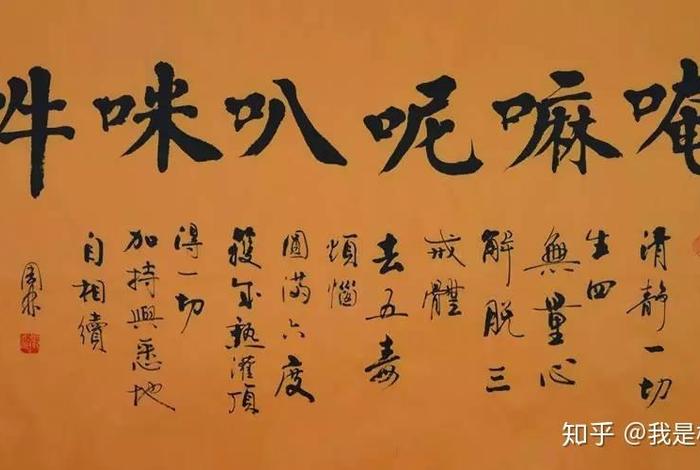 一杯水七粒米施食功德；一杯水七粒米施食视频