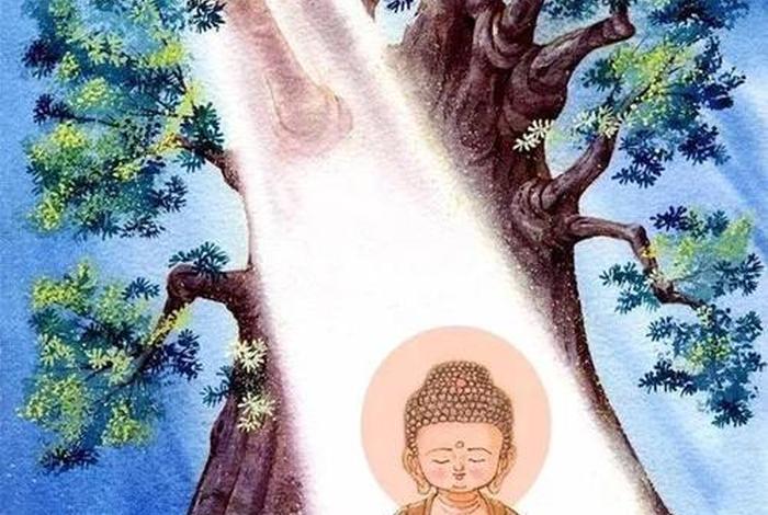 佛教 净土 - 佛教净土