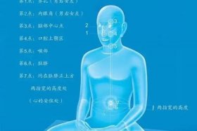 佛教标准的打坐方式是什么样的（佛教中的打坐方法）