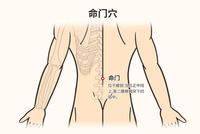命门如何打通（怎样打通命门）