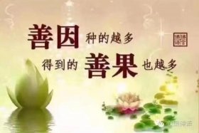 因果报应佛法（佛学因果报应语录）