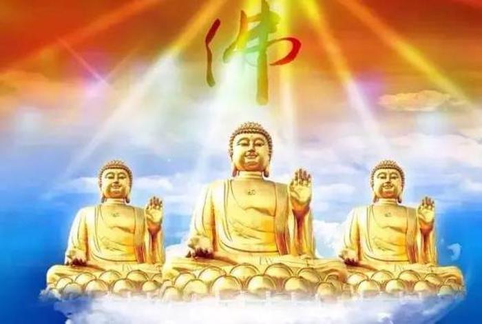 智商不够怎么学佛，智商不高的人怎么成功