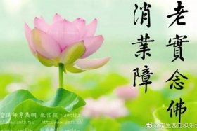 佛法清净心；佛家讲清净心
