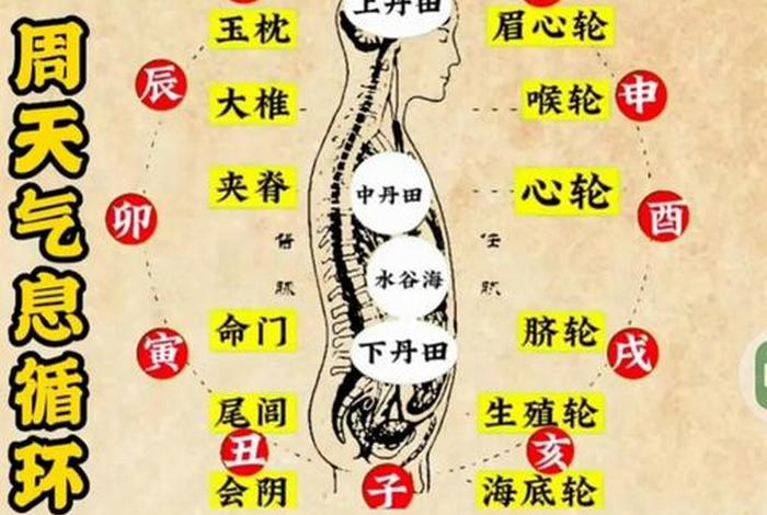 佛教有什么内功心法（佛教功夫内功）