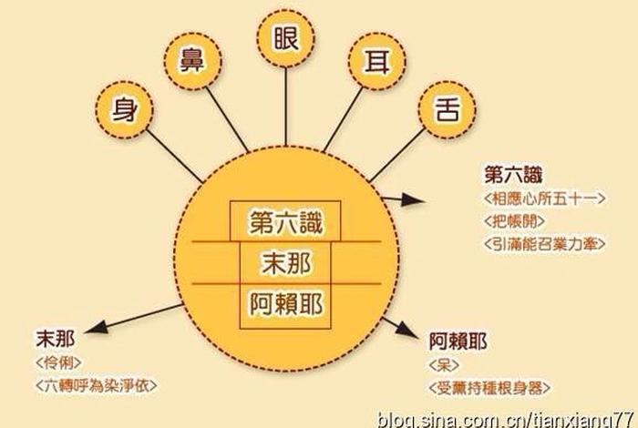 佛教心理学入门知识大全pdf - 佛学 心理学