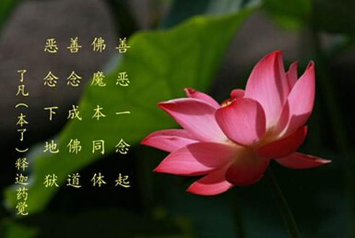 佛教问题咨询电话 - 中国佛教电话号码多少