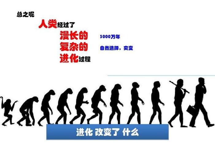 人类是怎么样来的（你知道人类是怎样来的吗）
