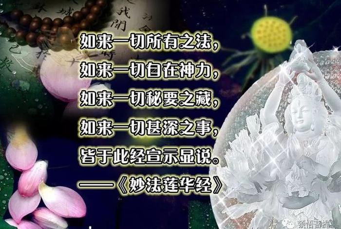 清净微妙（演扬清净微妙法）