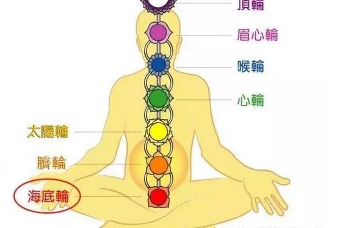 业力轮在哪里（业力之轮）