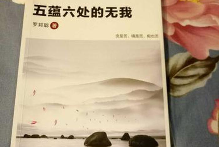 无我意思解释，无我的含义