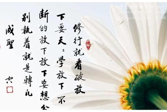 果报经文；佛教的果报是啥意思
