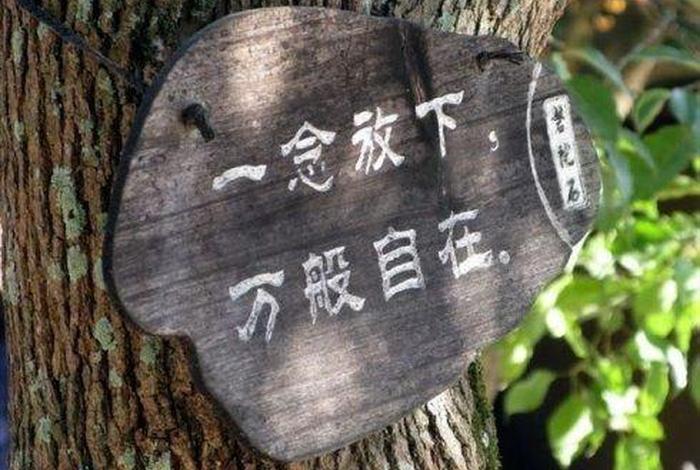 地狱五条根 贪食；什么是地狱五条根